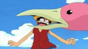 Luffy secuestrado por un pájaro
