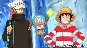 Luffy y Law se alían
